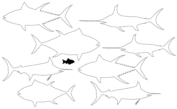 90% of large fish in Earth’s oceans fished out, says WWF