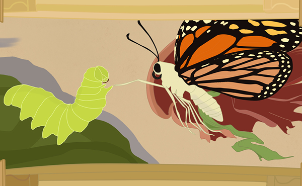 Butterfly creationist groups join together to protest evolutionary theory