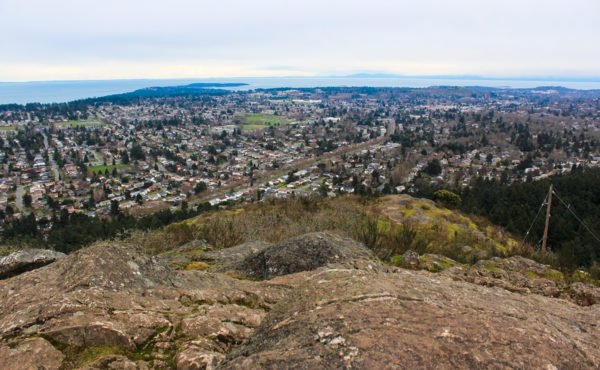 View from Mount Doug (PKOLS) –Brenna Waugh (photo)