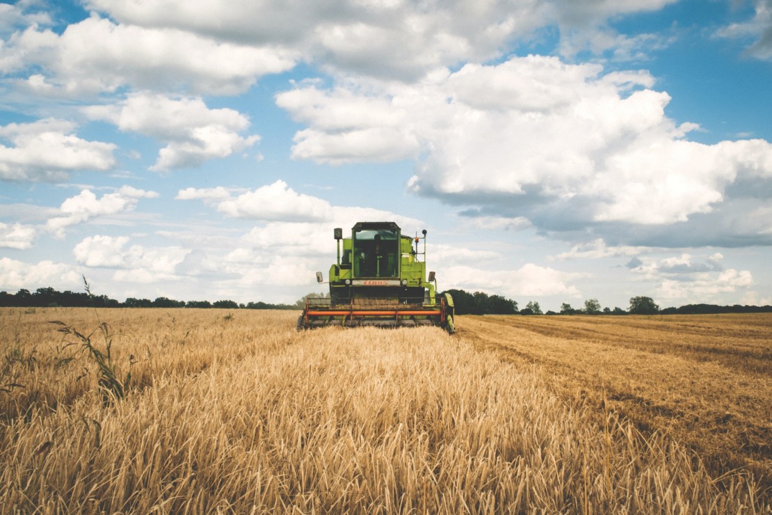 The use of glyphosate, a widely used herbicide, was the focus of a controversial talk hosted by the Department of Environmental Studies. Stock image via pexels.com
