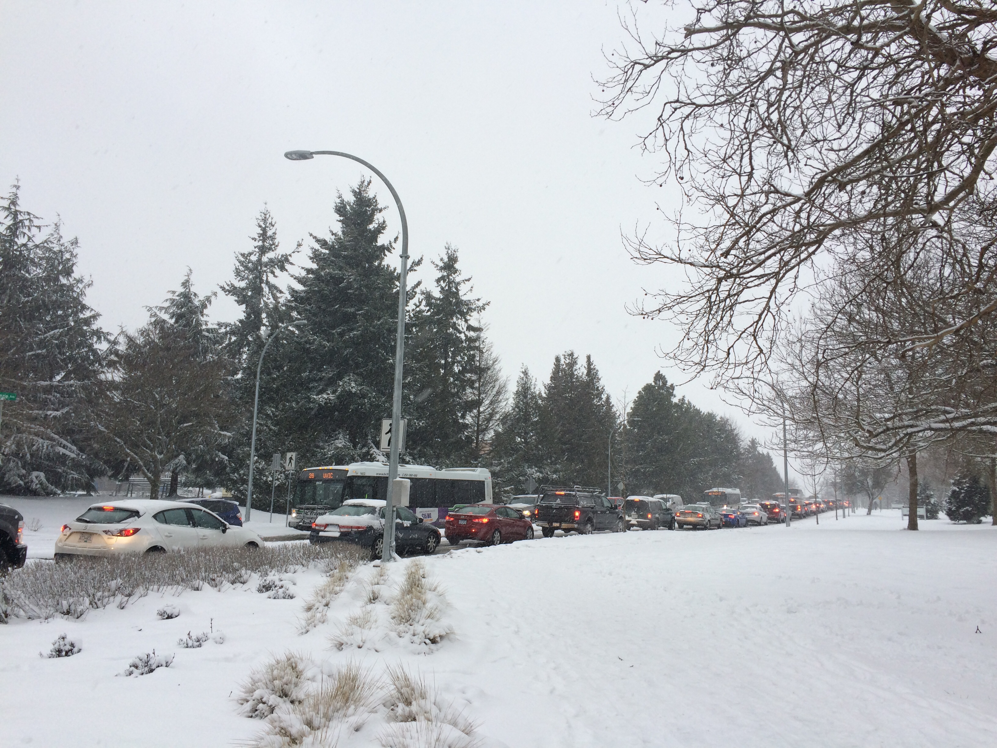 The extreme weather conditions prompted UVic to close campus, which then prompted this mess. Photo by Belle White, Photo Editor