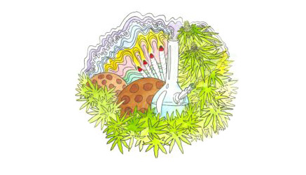 A graphic of joints and a bong encircled by weed leaves
