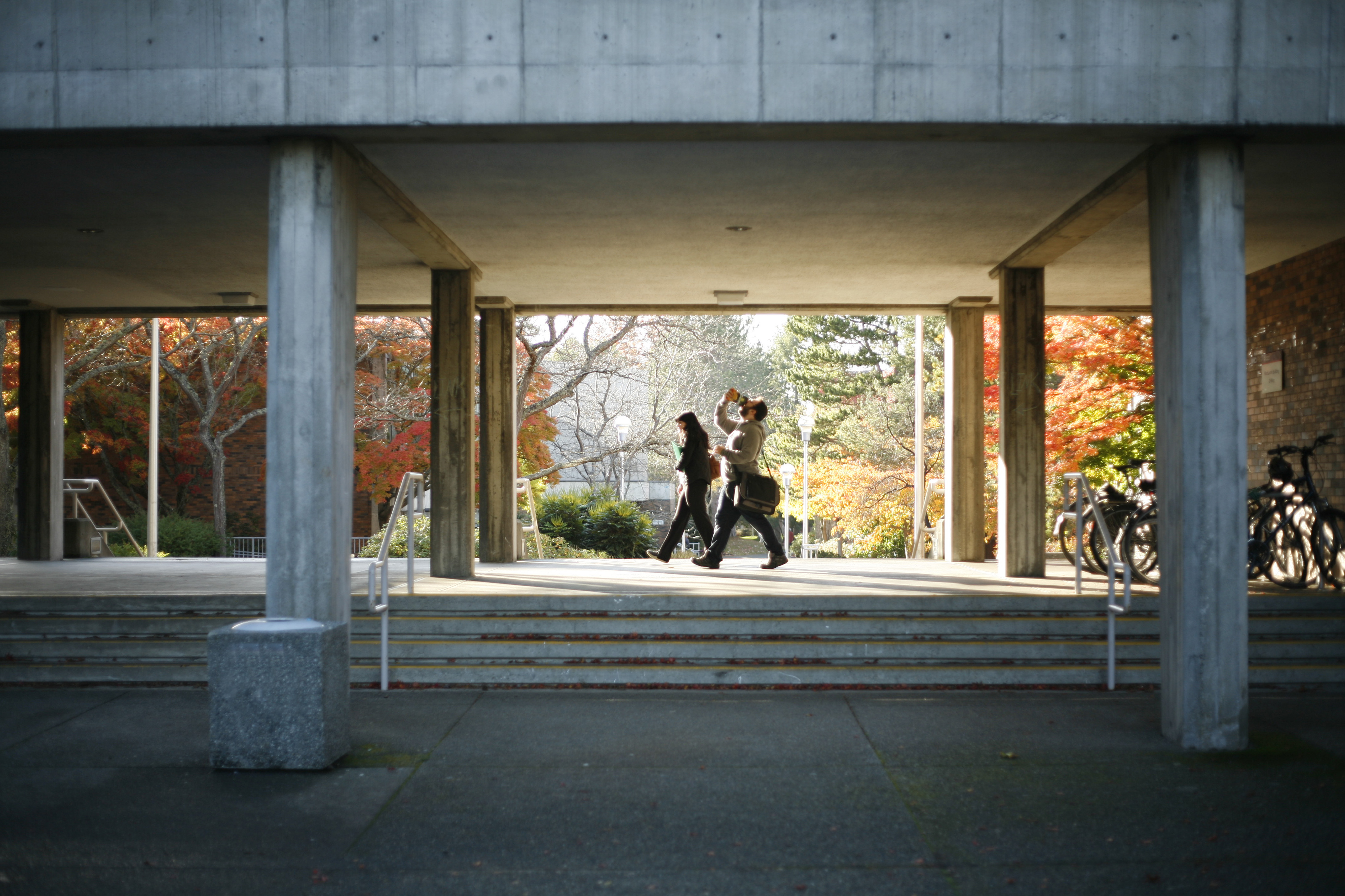 Students walk through UVic campus