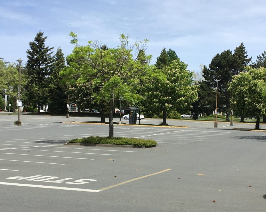 empty parking lot at UVic
