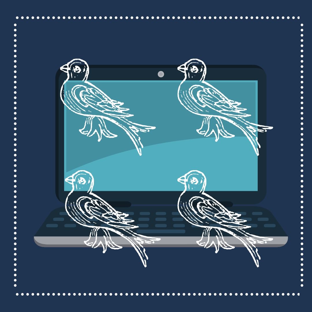 graphic of four birds on a computer