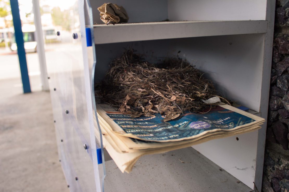A birds nest sits on top of Cinecenta papers