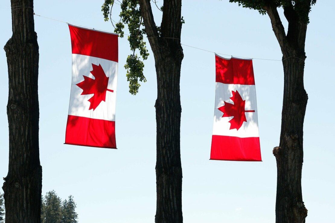 canada day stock photo, canadian flags