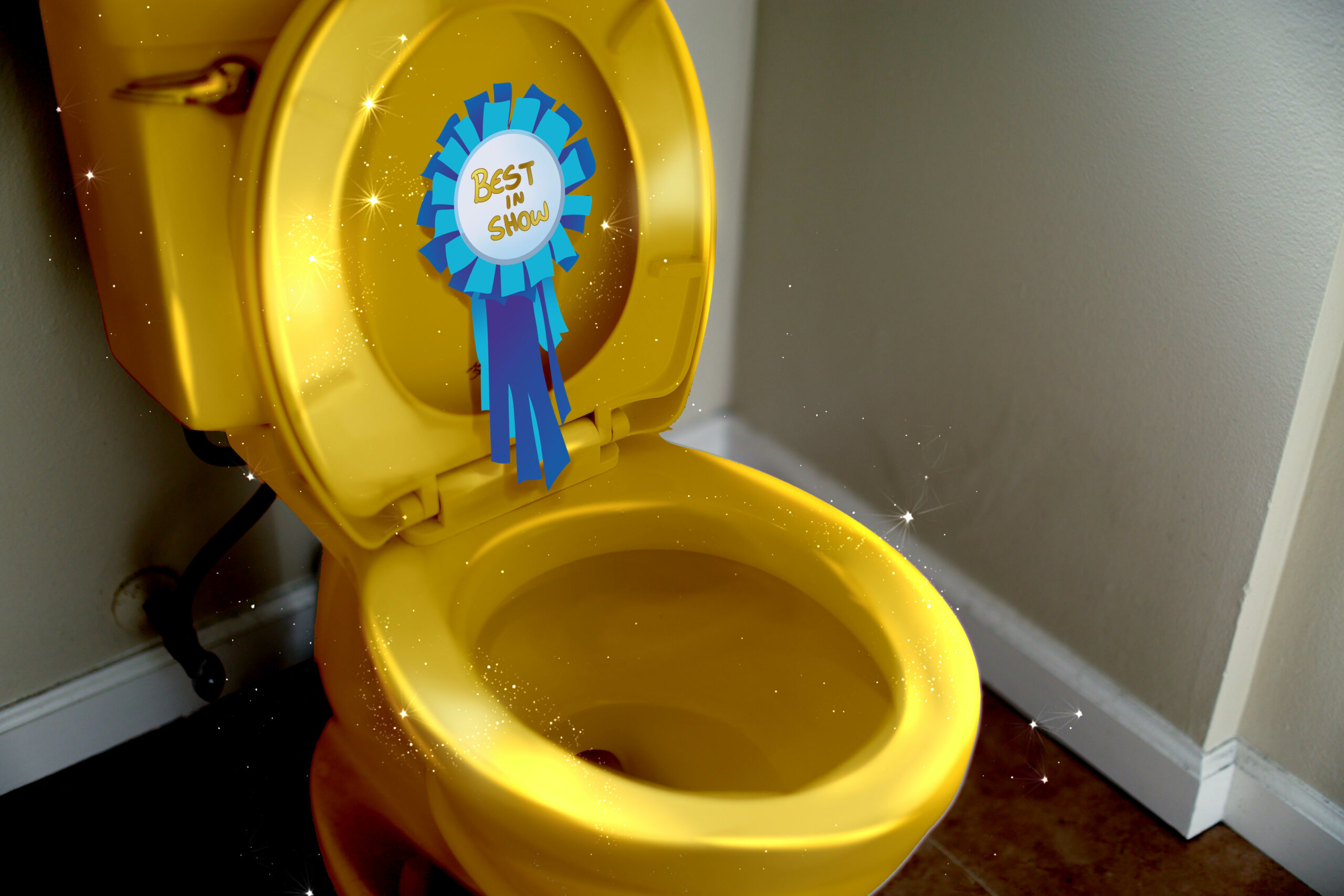 Golden toilet with a best in show award.