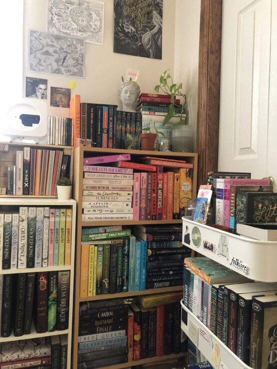 A full bookshelf, photo by Tina Li.