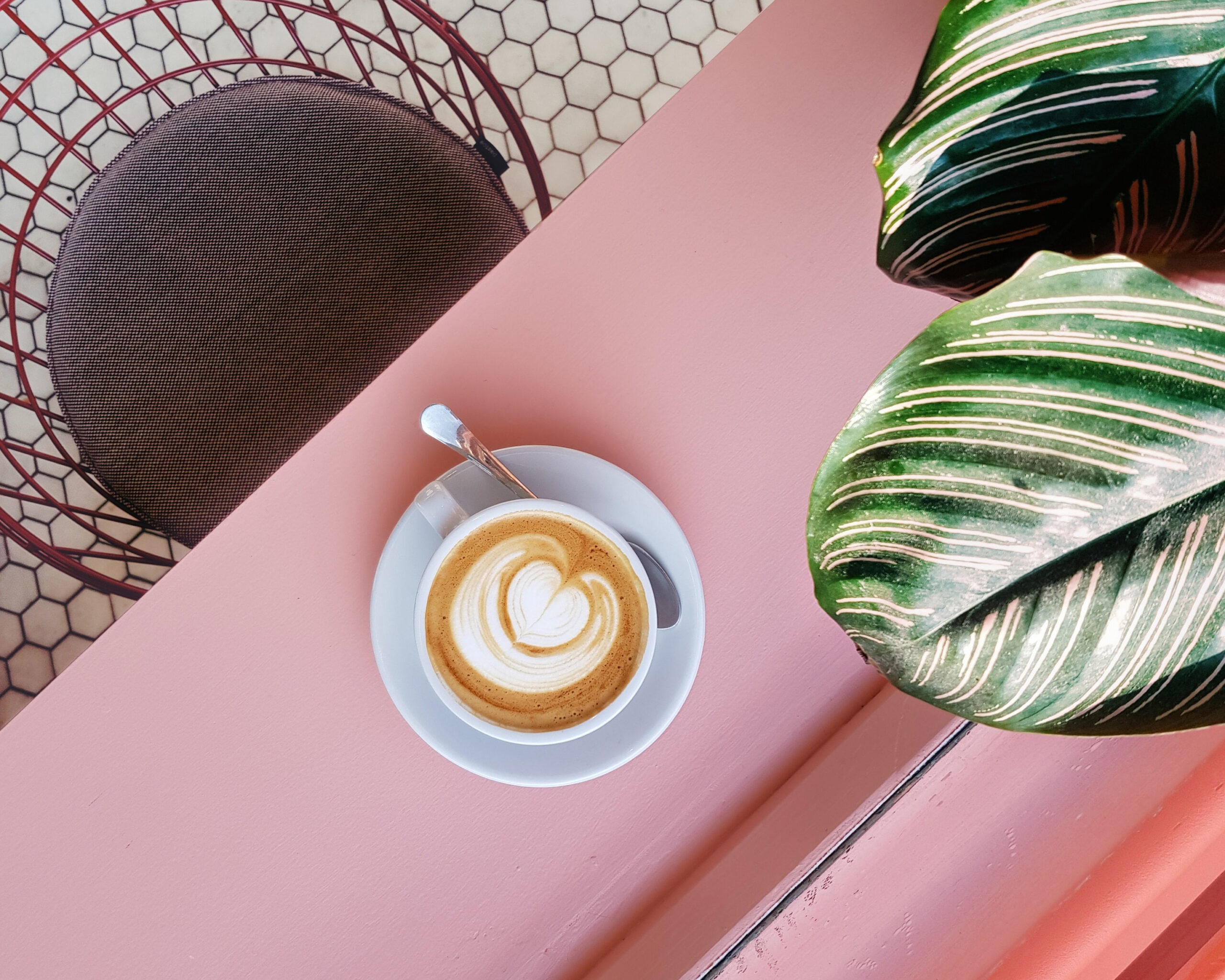 A latte and plant on a table. Photo by Natanja Grün via Unsplash.