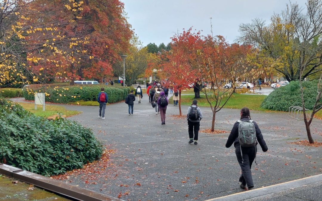 B.C. government, UVic EQHR release sexual violence reports