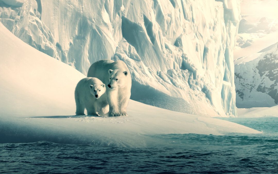 Four documentaries about climate change to watch this fall