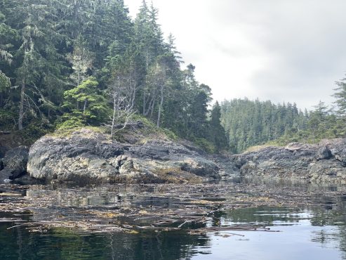 Broughton Archipelago, photo by Isabel Gregr.