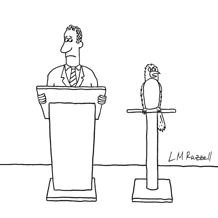 Illustration of a man at a podium and a disgruntled bird, comic by Liam Moore Razzell.