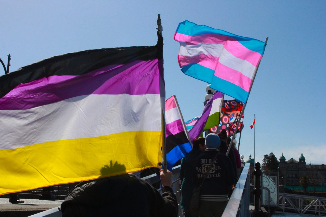 Nonbinary and transgender flags, photo by Maya Linsley.