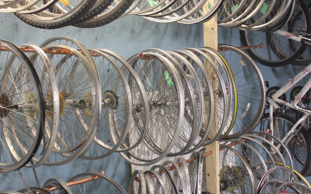 Campus bike program a success one year after reopening