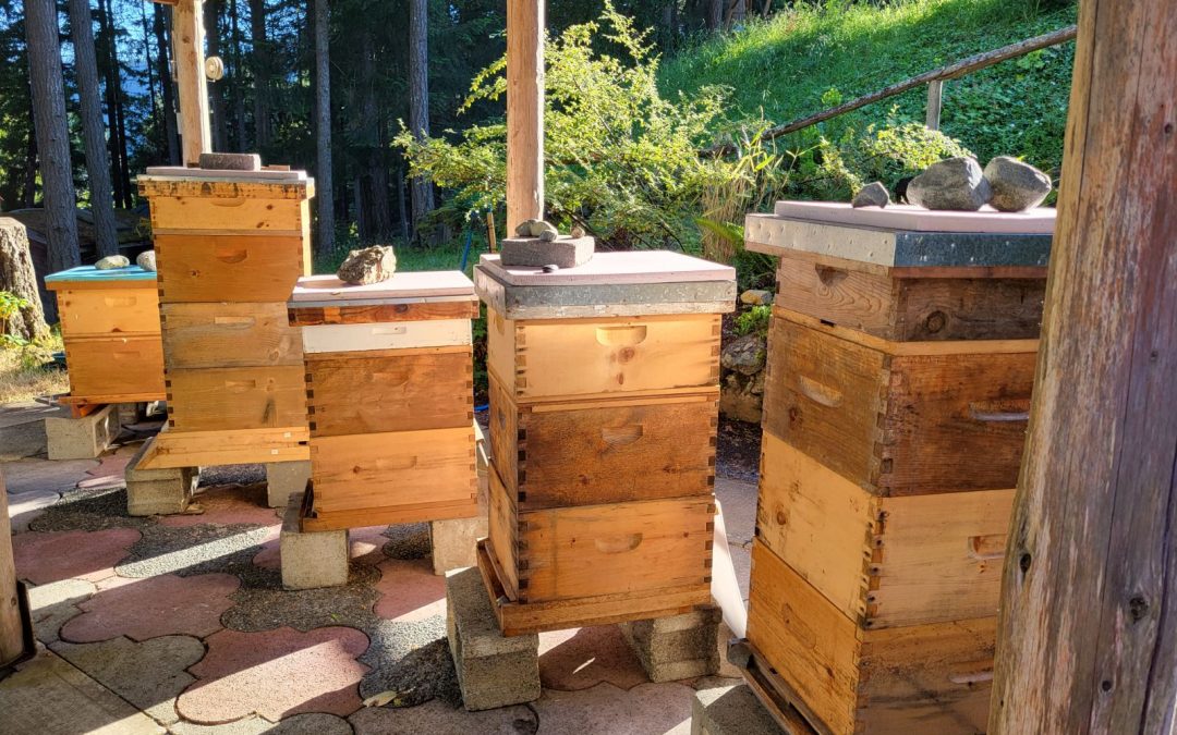 Taste test: I tried a variety of honey from all around the region