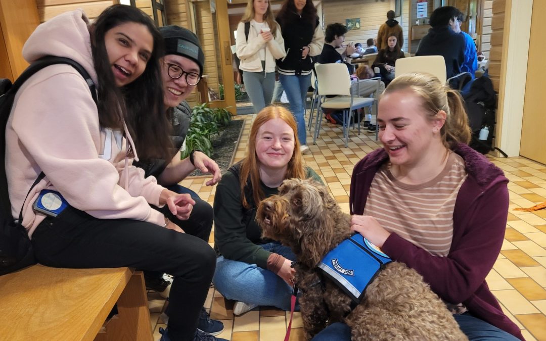 ‘They emit so much love’: Pet Cafe brings community and connection to campus