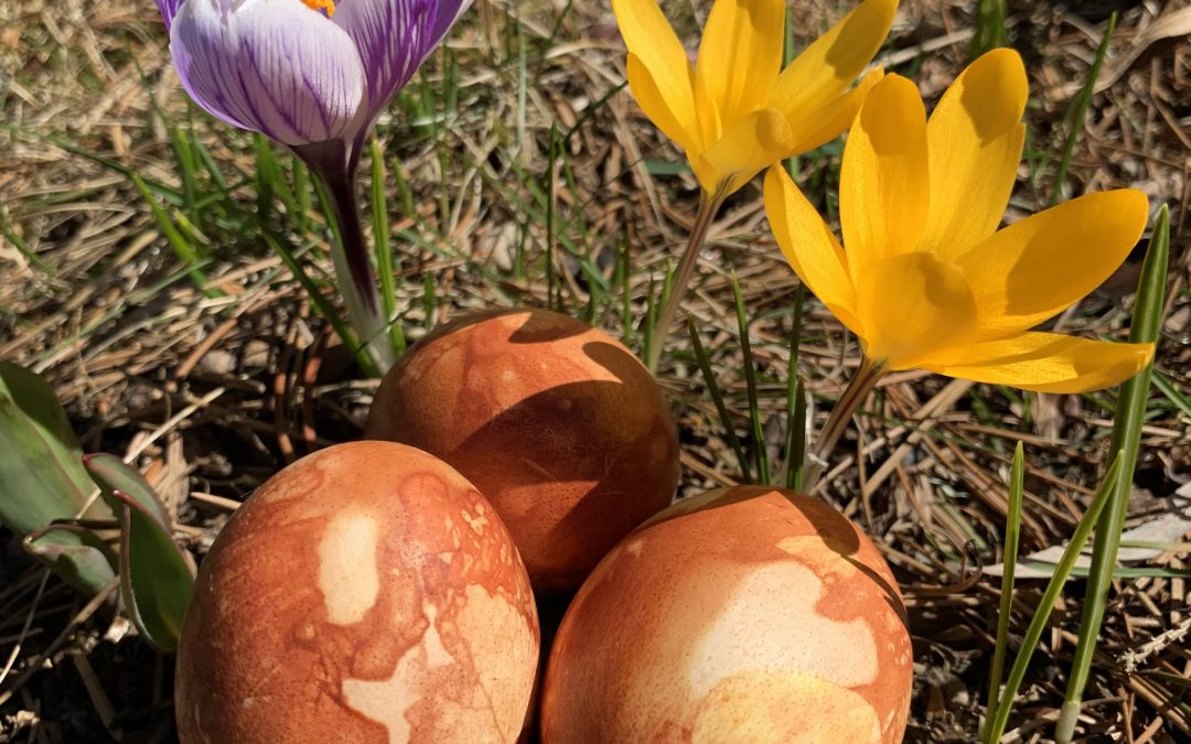 Egg-celent Easter decorating methods