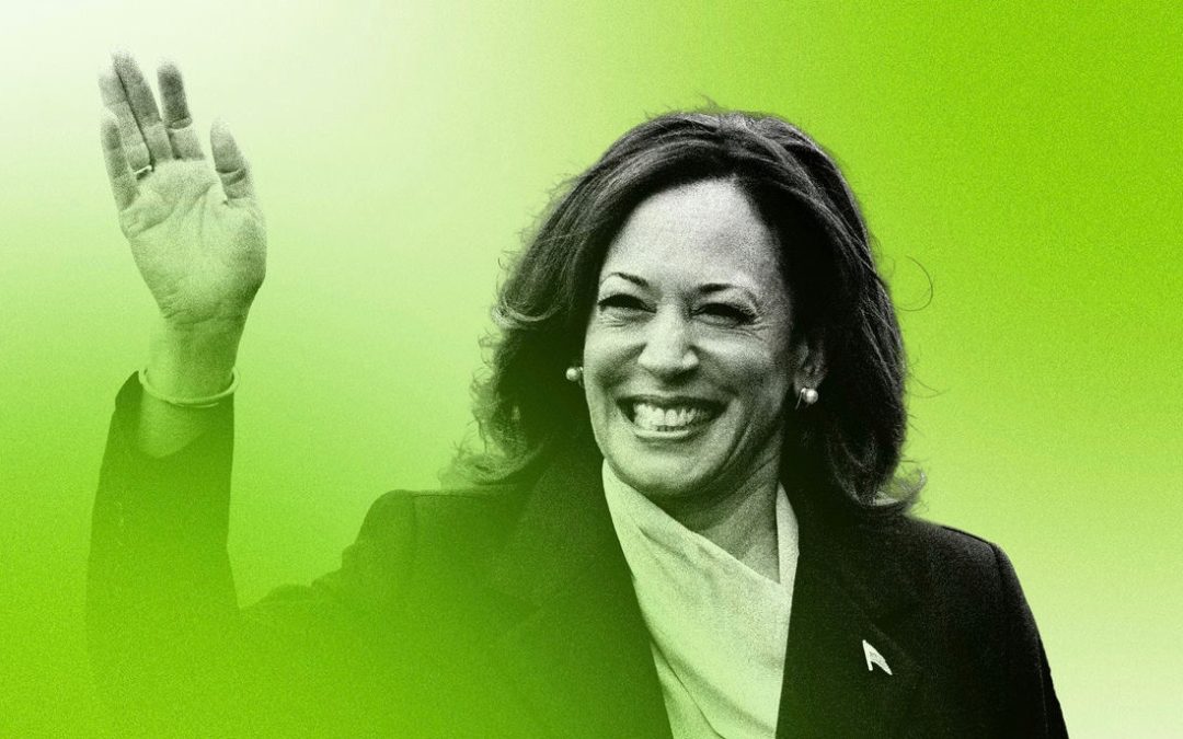 Canadian politicians can learn from Kamala’s meme-mentum