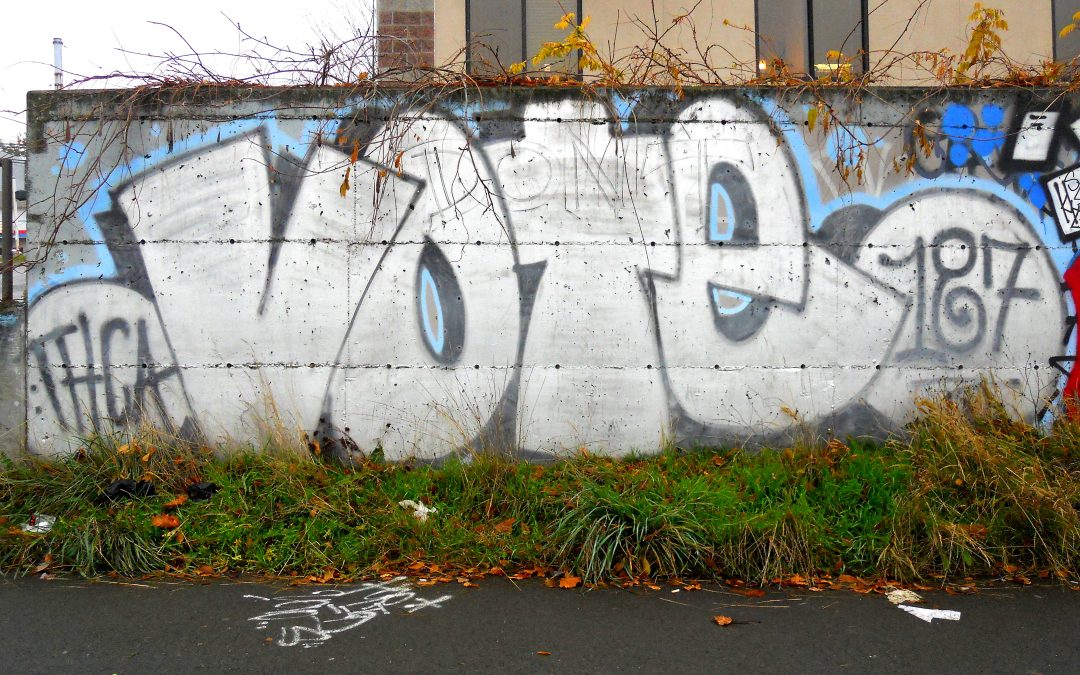 How to vote in this provincial election as a UVic student