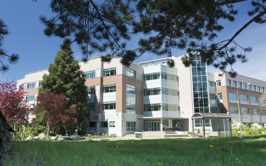 Seven great campus study spaces you can use this fall