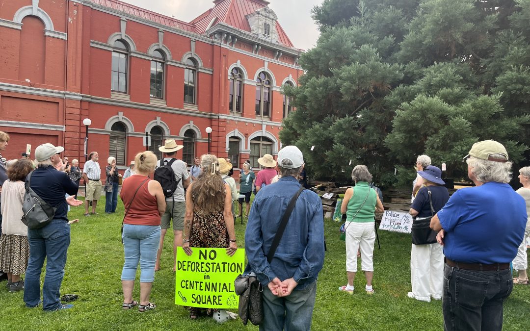 Community fights to save trees set to be removed from Centennial Square