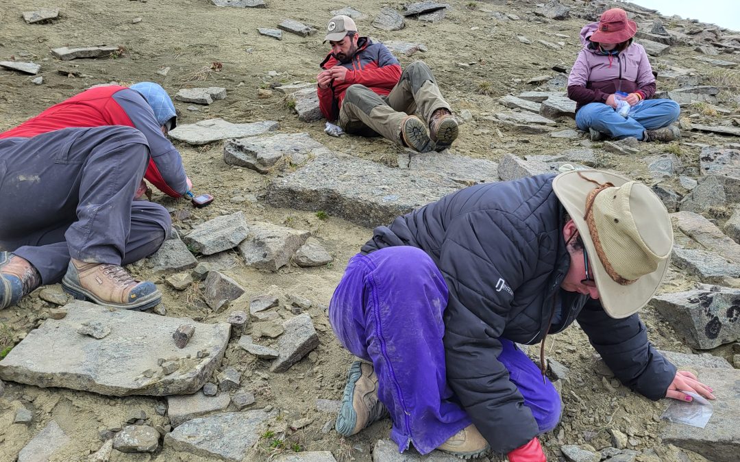 UVic students and museum researchers find extraordinary dinosaur fossils 