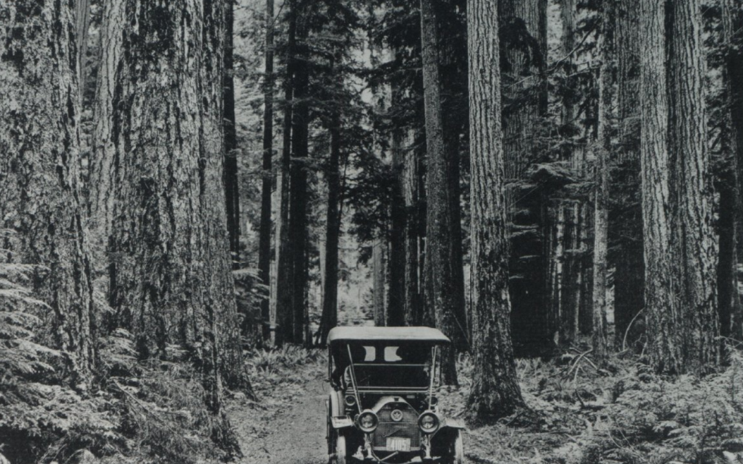 At the headwaters of change