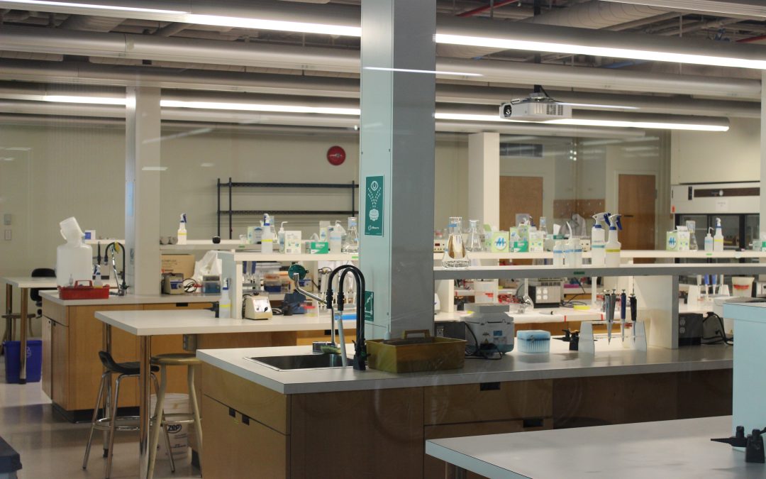 The summer heat crisis in Petch needs an urgent solution