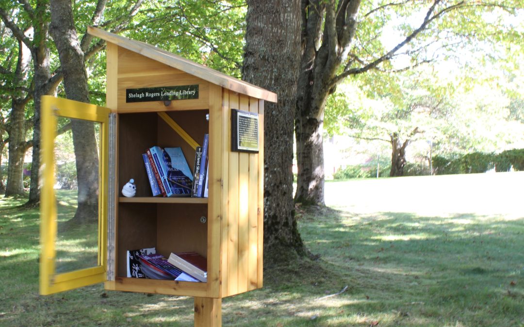 Placemaking Network celebrates 1 000th little free library