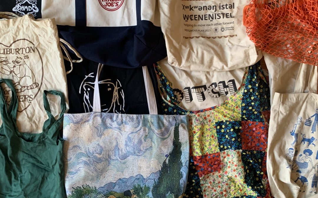 Plastic bags suck, but overconsumption is worse