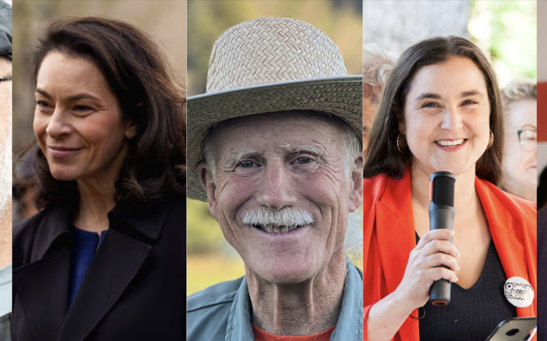 The NDP collapsed in 2025. Does that mean they are irrelevant?