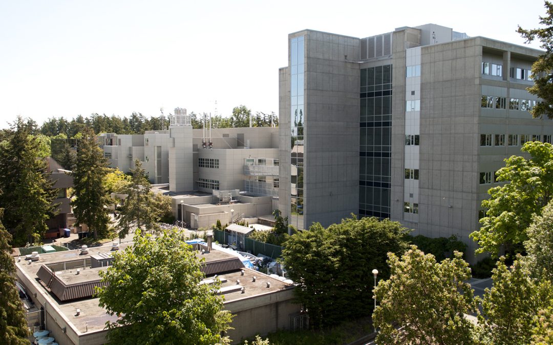 UVic Faculty of Engineering and Computer Science hits 24 per cent female-identifying enrolment while working toward ‘30 by 30’ goal