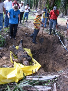 Ten days with the Honduran Resistance: The campesino movement