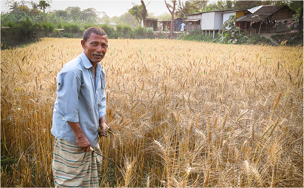 The contrast of politics and the pastoral in Bangladesh