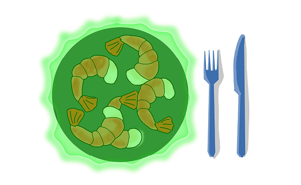 Scientists create jumbo shrimp, discover new element