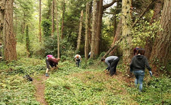 10-year moratorium on campus deforestation to expire
