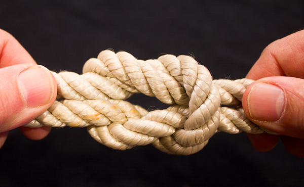 Sagacity: Victoria’s local alternative lifestyle society