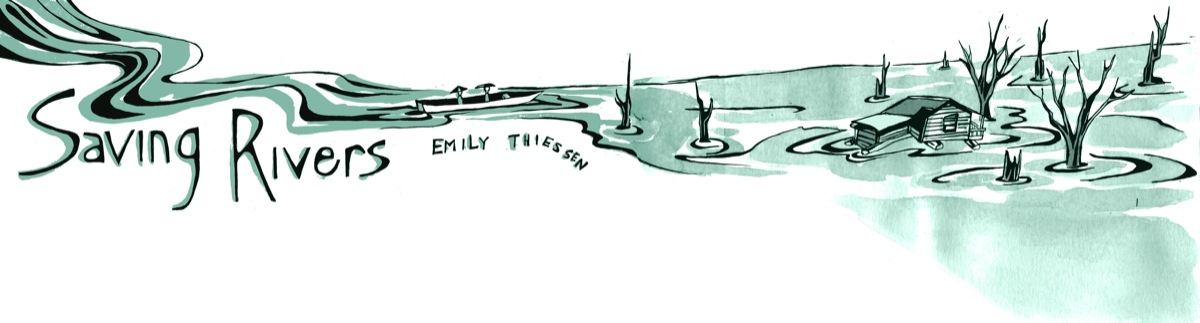 FEA_header_Emily Thiessen_web