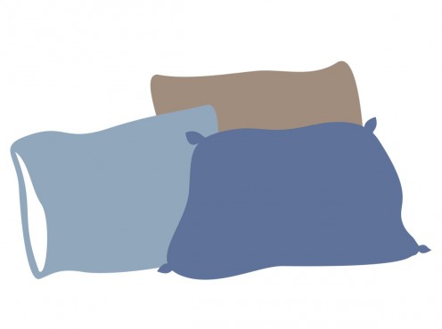 FEA_pillows3_web