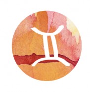 GEMINI