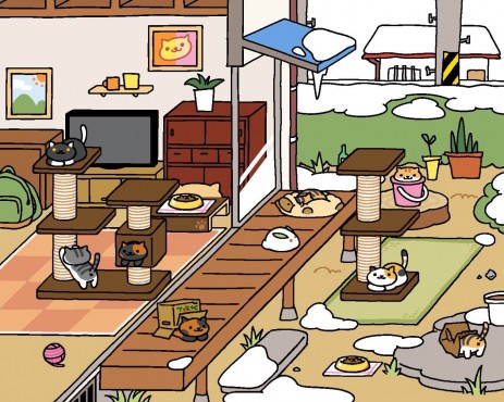 Rome wasn't built in a day; your cat empire shan't be either.