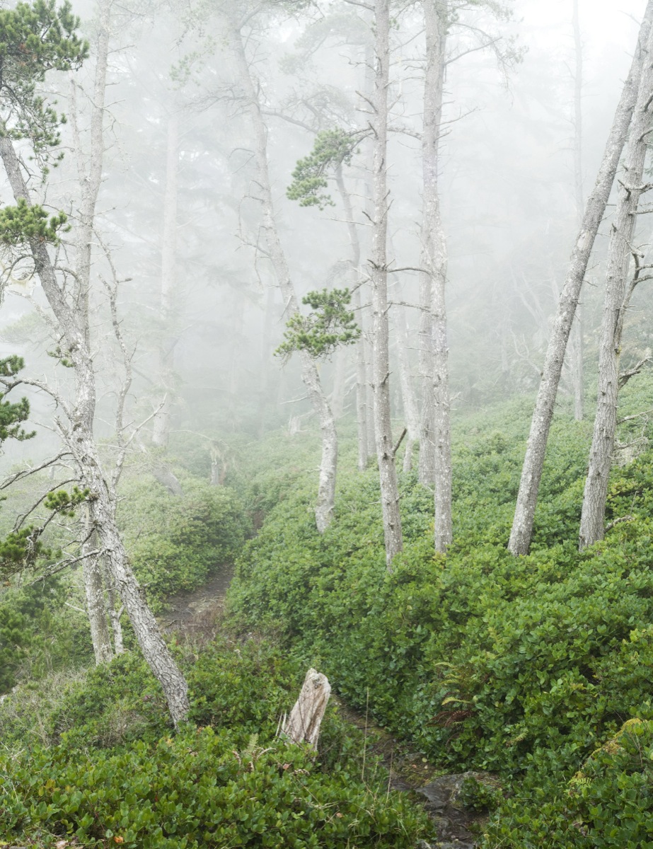 Robert Pierrard (photo)