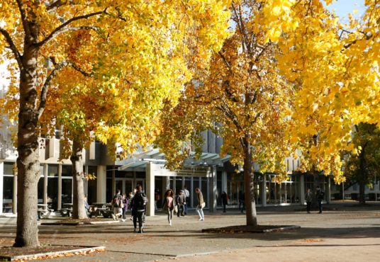 Nominations open for great post-secondary teacher accolade