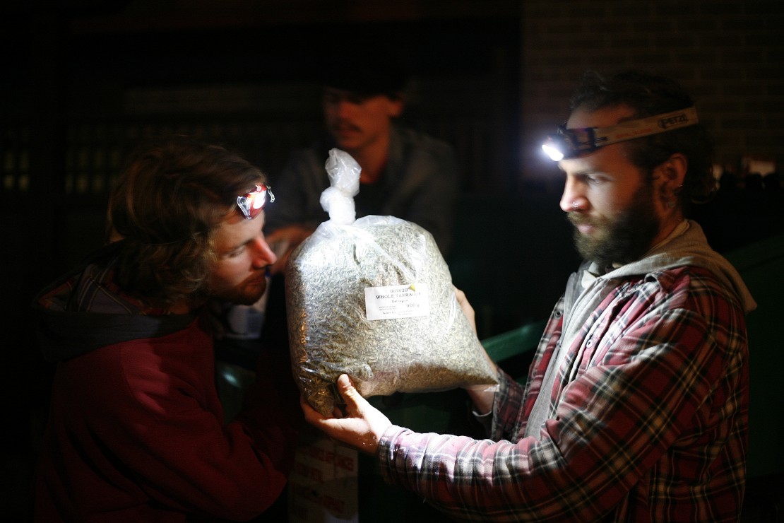 To the diver, goes the spoils. Photo by Belle White, Photo Editor