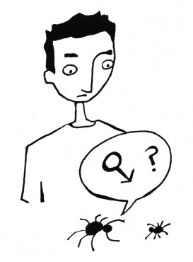 OPI_what are men for_Emily Thiessen_web