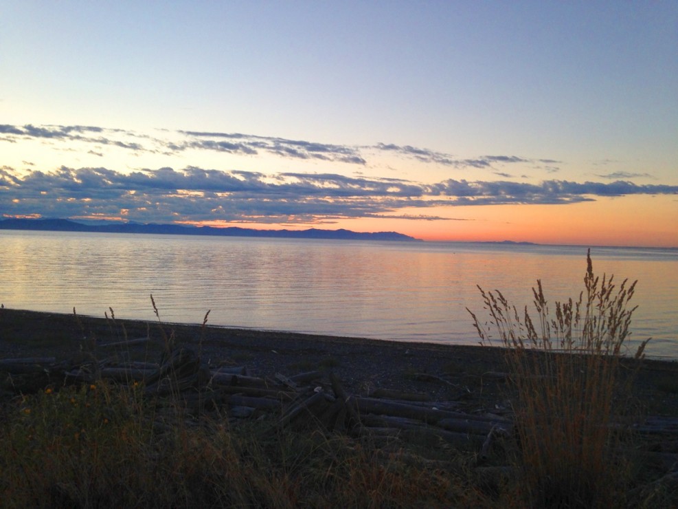 Shayla Faminow (Photo Contributor)