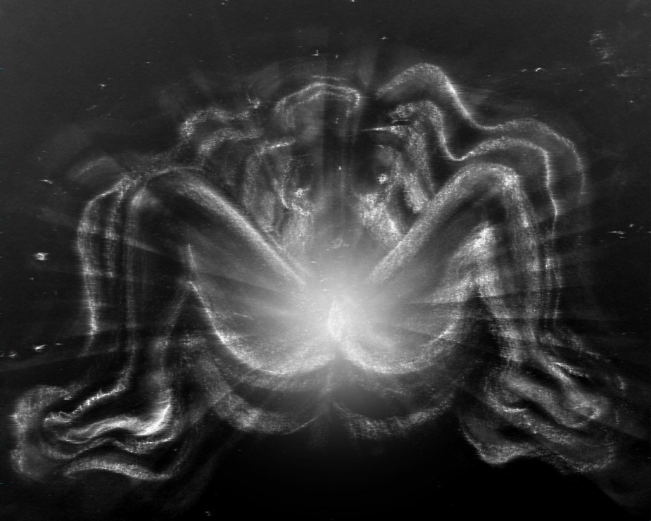SPO_Female Ejaculation_Sarah Choi_web