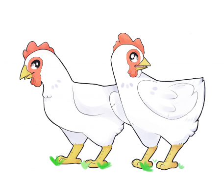 Backyard chickens: ‘til death do us part